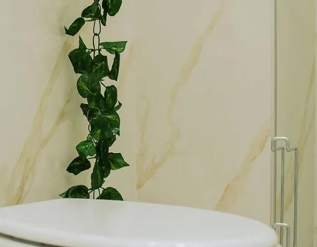 Marie Experience 1 Deluxe