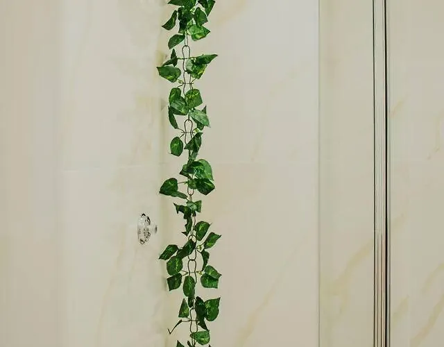 Marie Experience 1 Deluxe * Nápoly