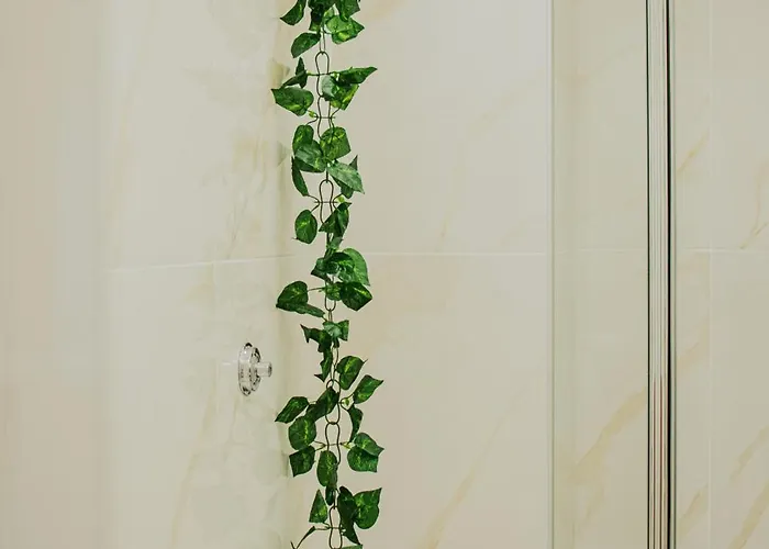 Marie Experience 1 Deluxe *